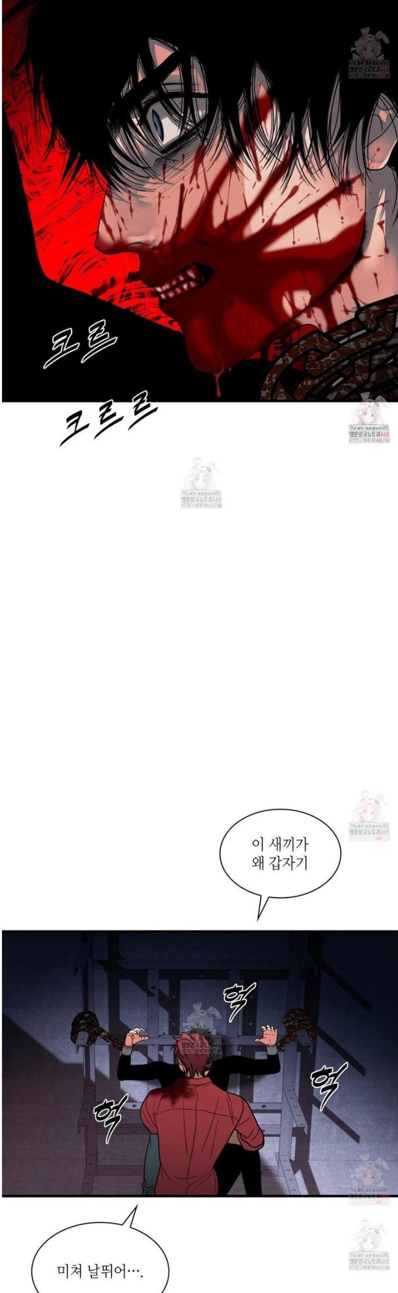 17468036547248.jpeg