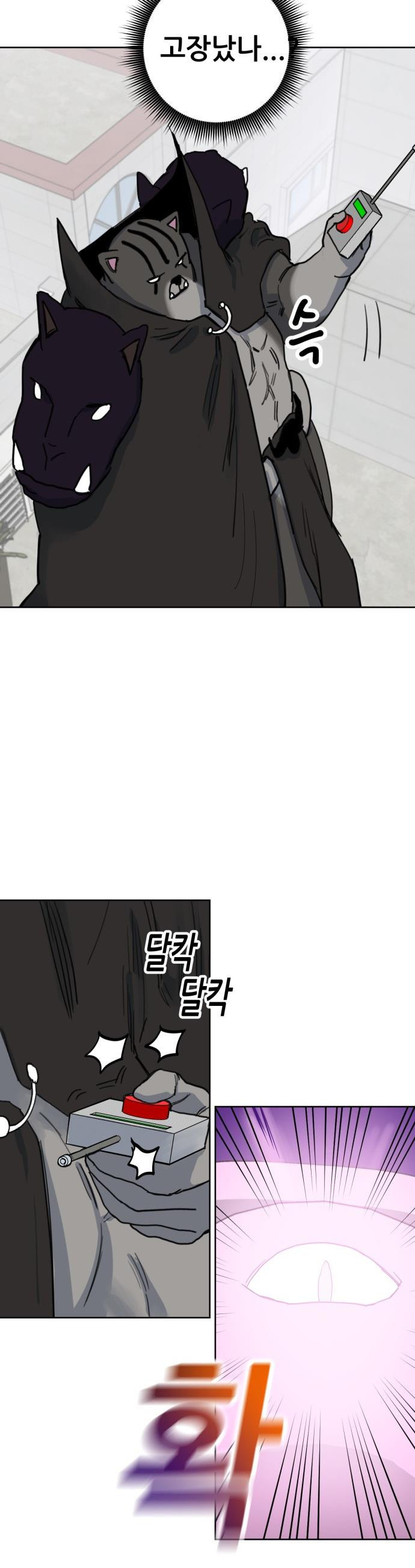 17468039610553.jpeg