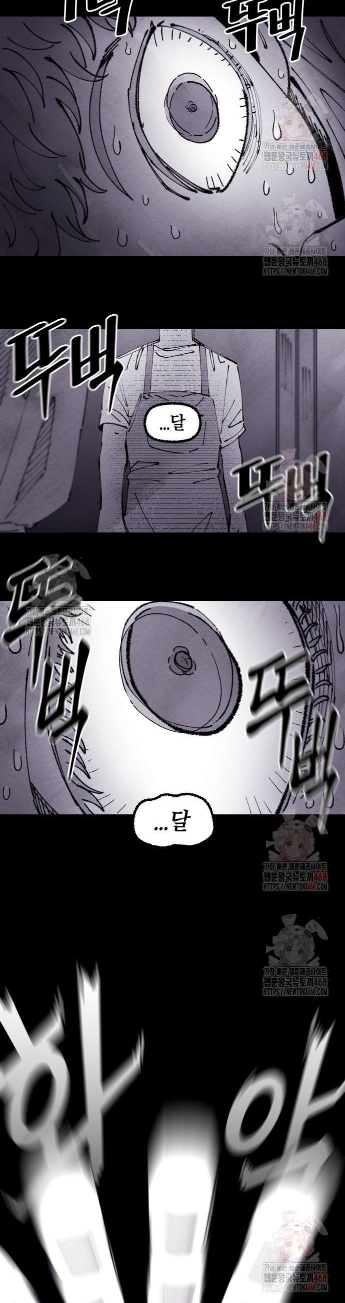 17468039875041.jpeg