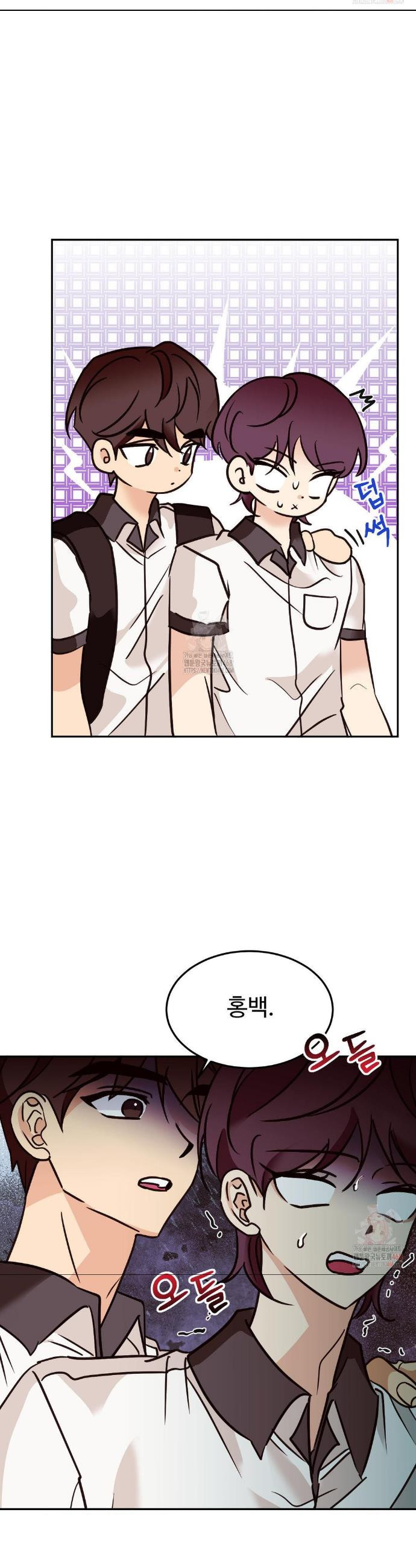17468040065219.jpeg