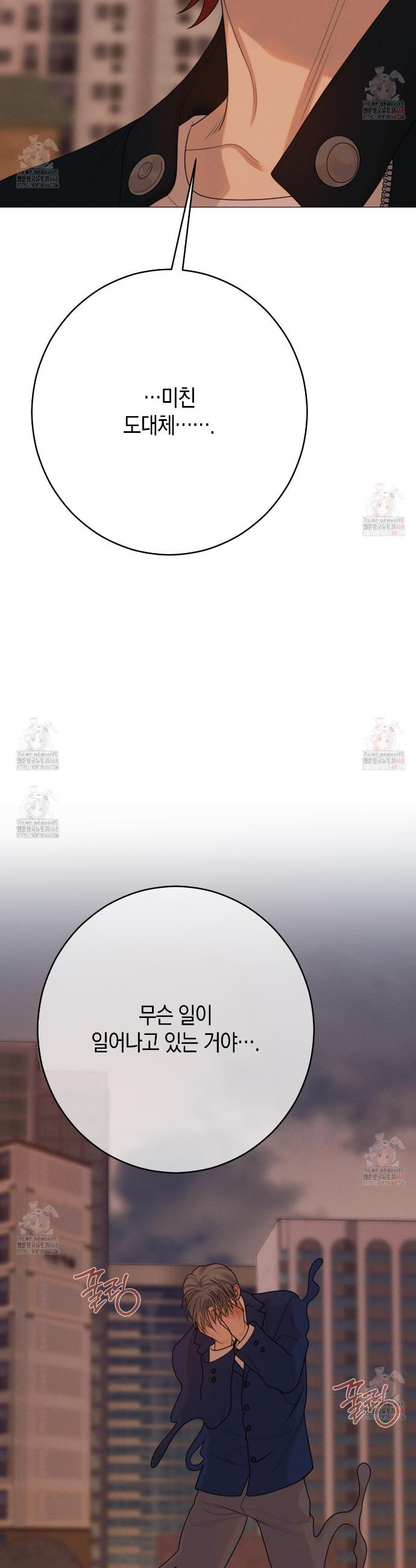 17468040261518.jpeg