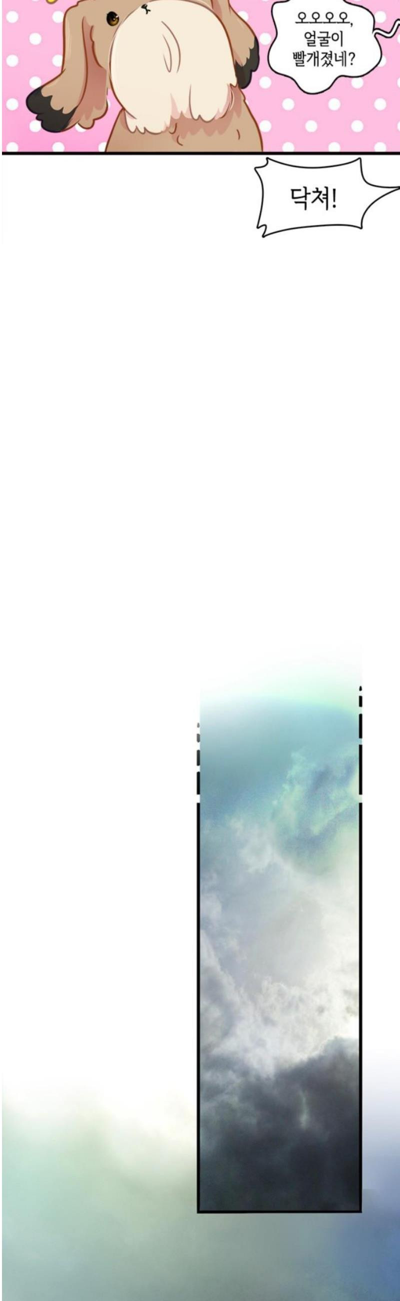17468052107903.jpeg