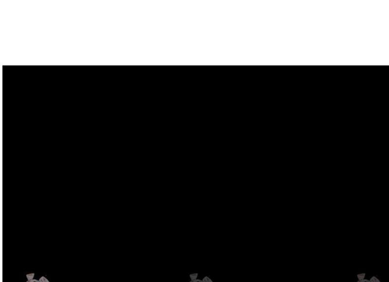 17468086952711.jpeg