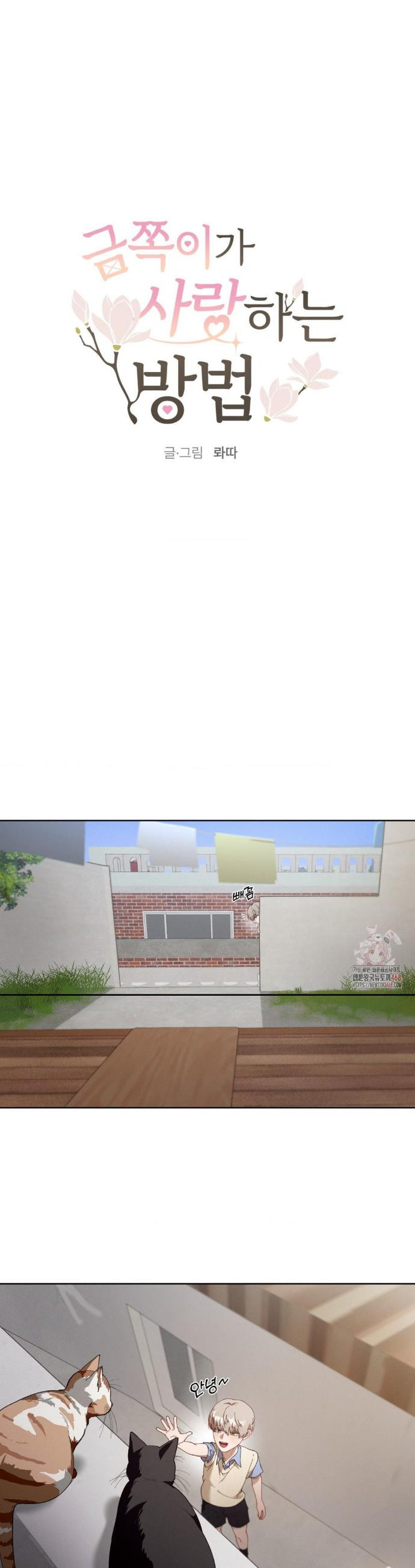17468126443745.jpeg