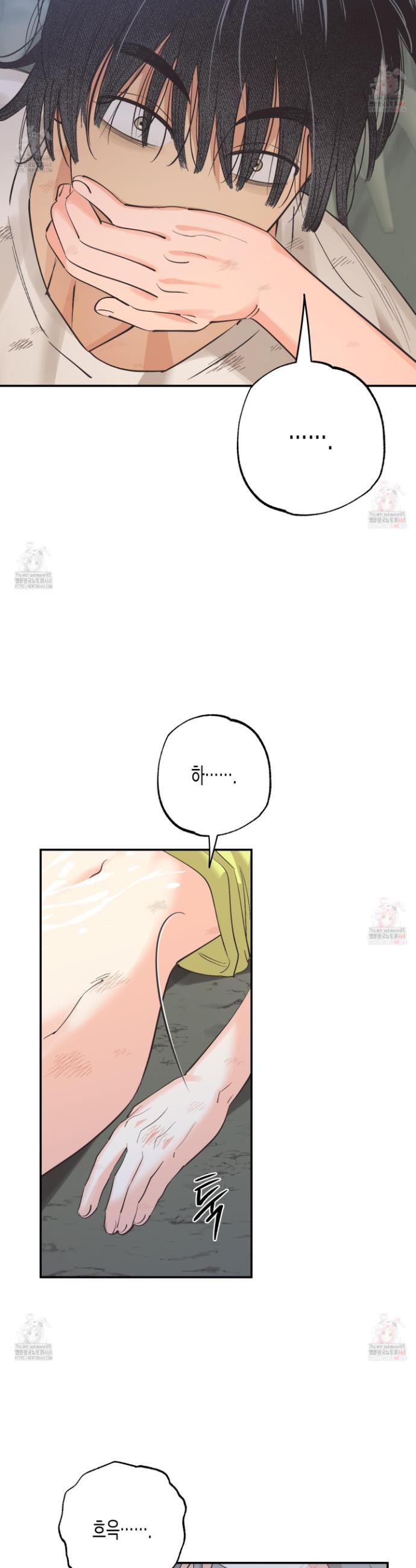 17468127729841.jpeg