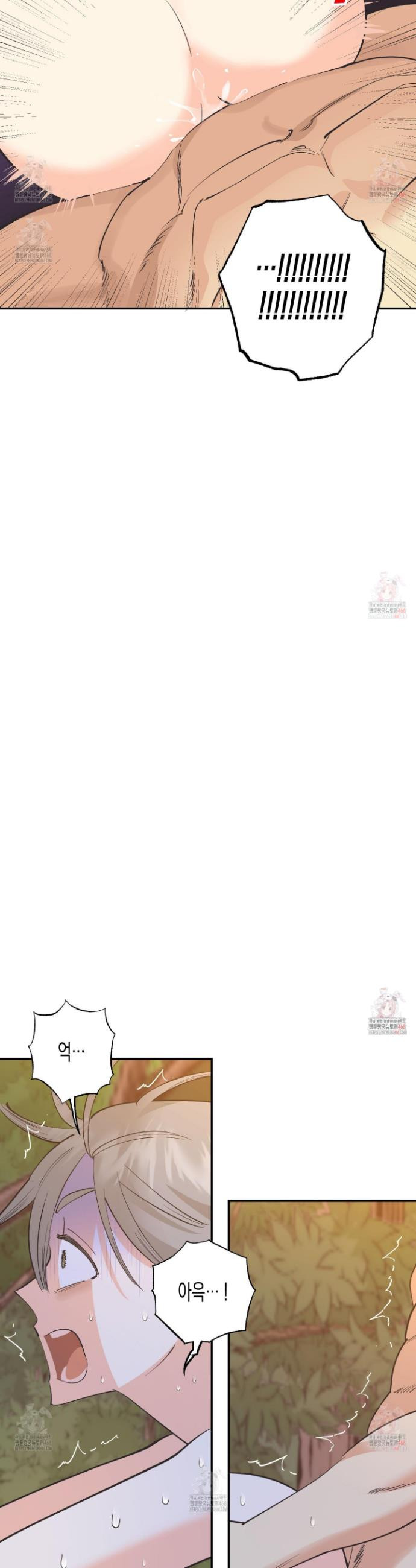 1746813129401.jpeg