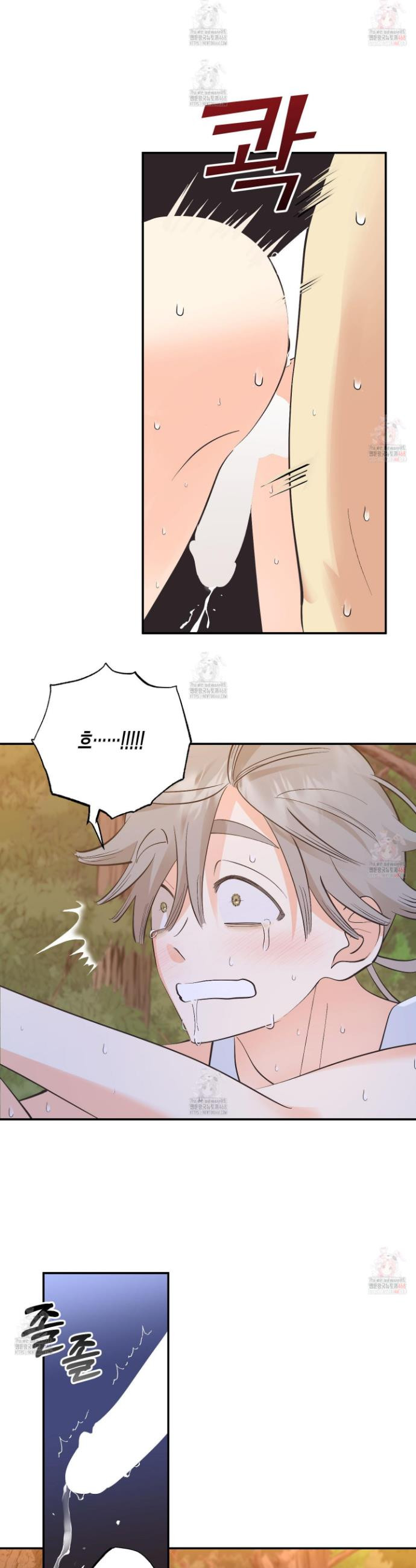 1746813131603.jpeg