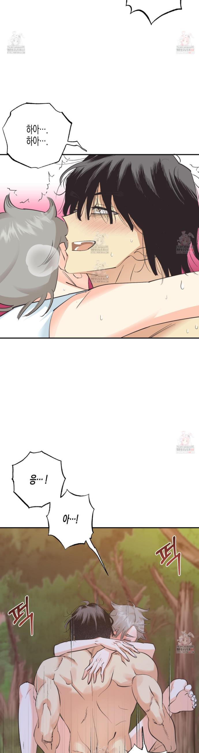 17468131331493.jpeg