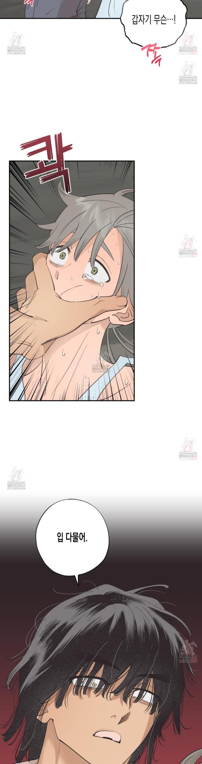 17468132523757.jpeg