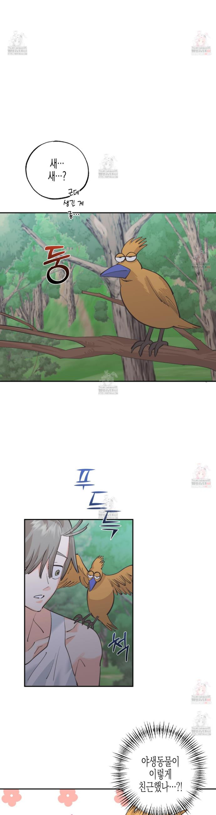 17468133679665.jpeg