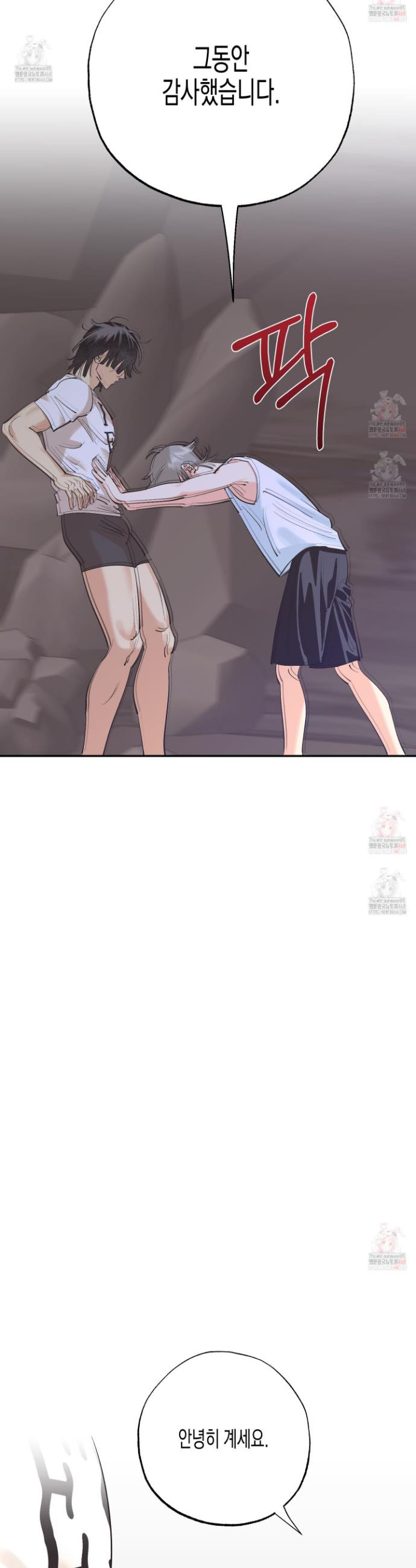 17468133757873.jpeg